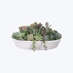 Camille in Pot